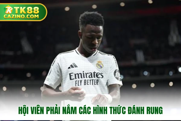 Kèo rung là gì? Đặc điểm cơ bản của kèo trong thể thao TK88 4 Hội viên phải nắm các hình thức đánh rung