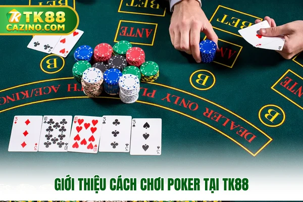 Cách Chơi Poker - Hướng Dẫn Đọc Vị Đối Thủ Cực Dễ Tại TK88 2 Giới thiệu cách chơi poker tại TK88