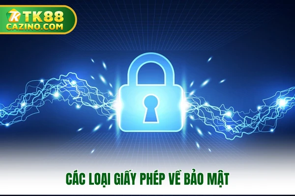 Chính Sách Bảo Mật TK88 - Uy Tín Và An Toàn Cho Hội Viên 2 Các loại giấy phép về bảo mật
